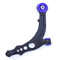 2 x Powerflex PFF16-602 hinteres PU Lager Querlenker für FIAT Punto II 188 (No.2)